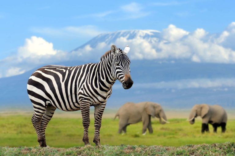 Amboseli-National-Parksasa