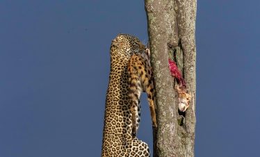 Northern Botswana Explorations