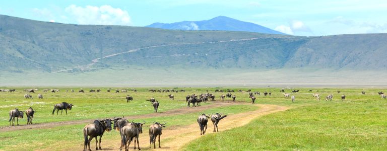 ngorongoro-crater