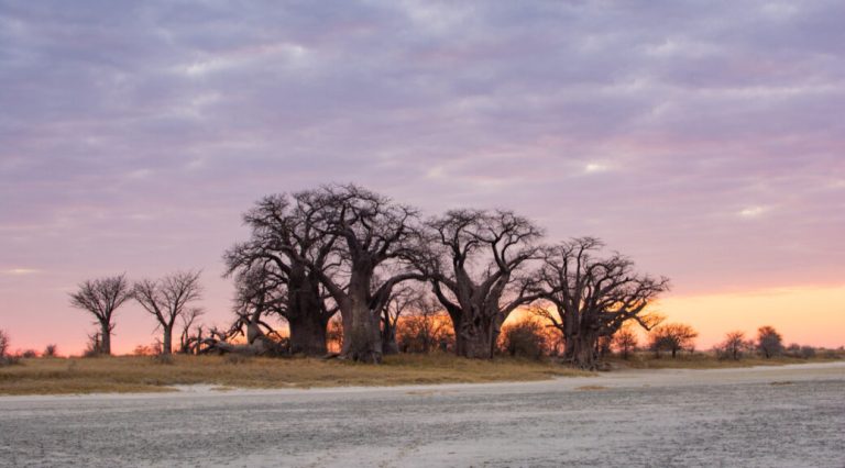 Nxai-Pan-Setting-Melanie-van-Zyl-2-1038x576