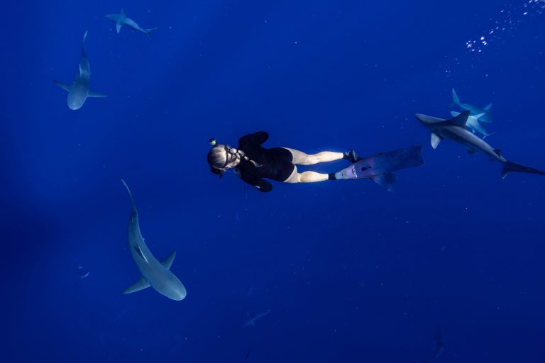 dive