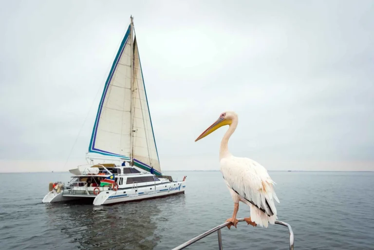 walvis-bay-marine-big-5-luxury-catamaran-tour-1503890