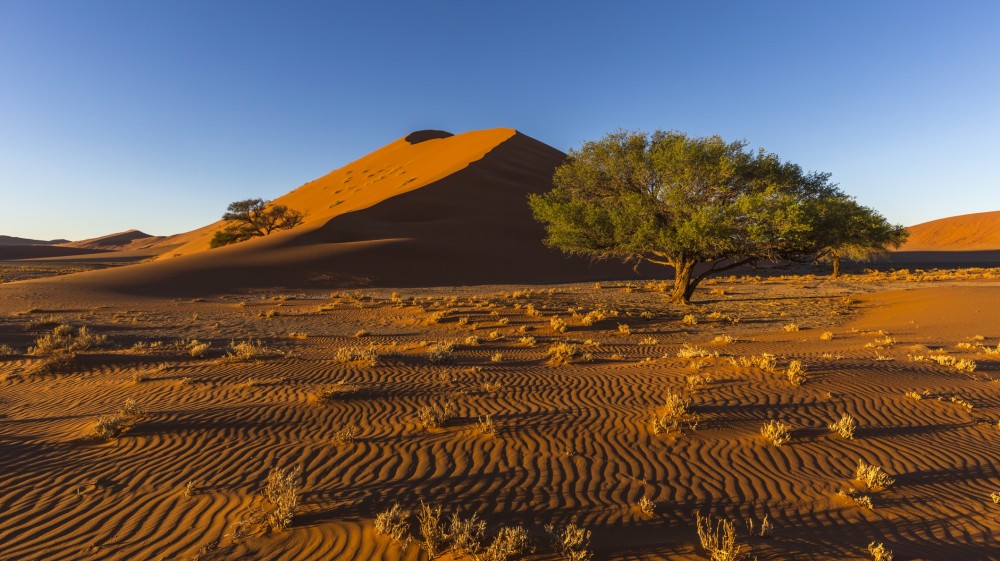 11Days/10Nights - Kalahari Desert Al