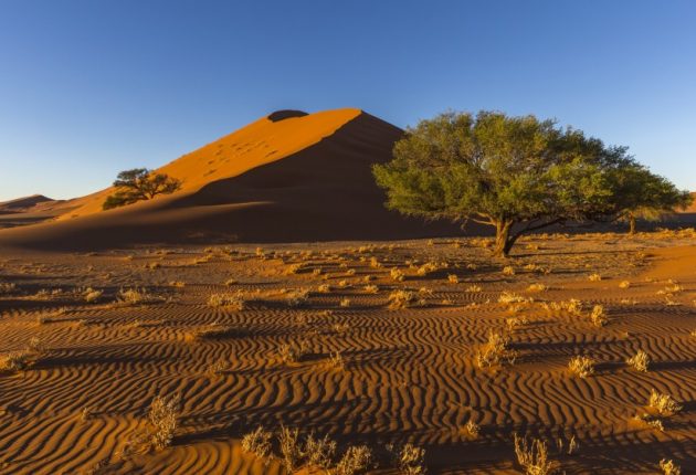 11Days/10Nights - Kalahari Desert Al