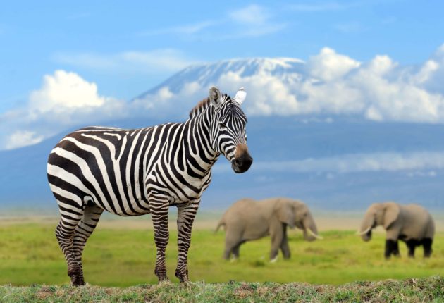 Amboseli-National-Parksasa