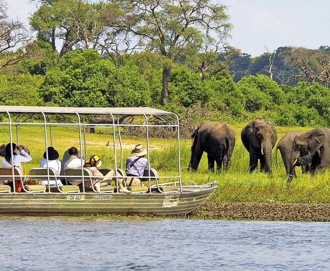 Victoria-Falls-Chobe-Day-Trip
