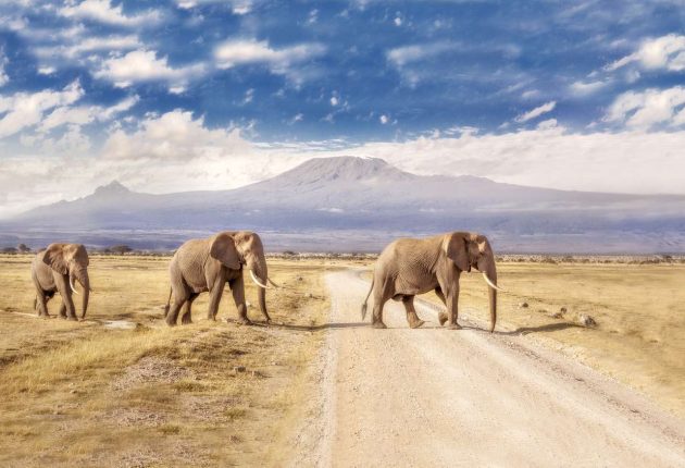 amboseli