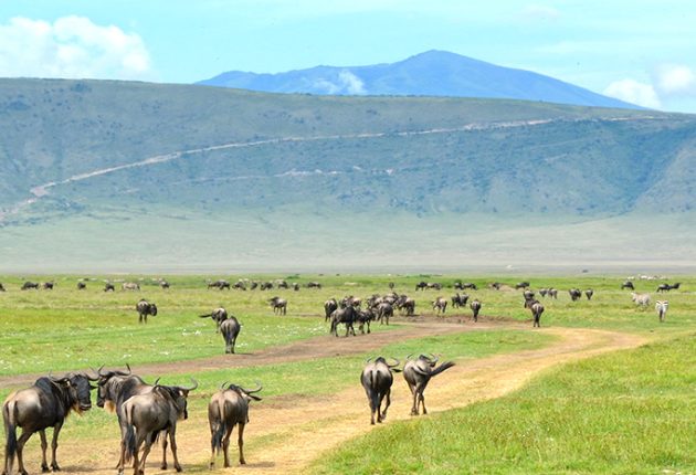 ngorongoro-crater