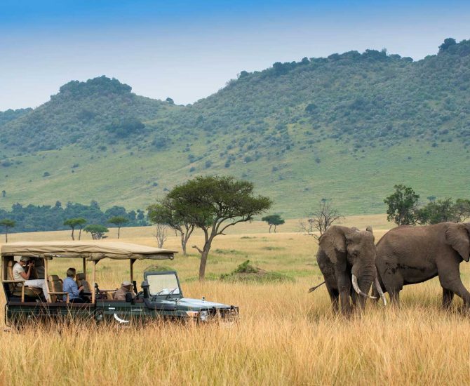 seeing-elephants-on-a-game-drive-in-the-masai-mara